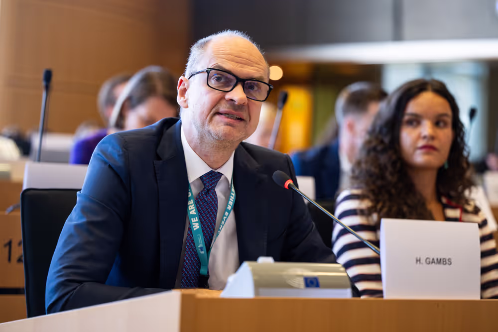 IMCO public hearing ' Single Market Strategy '