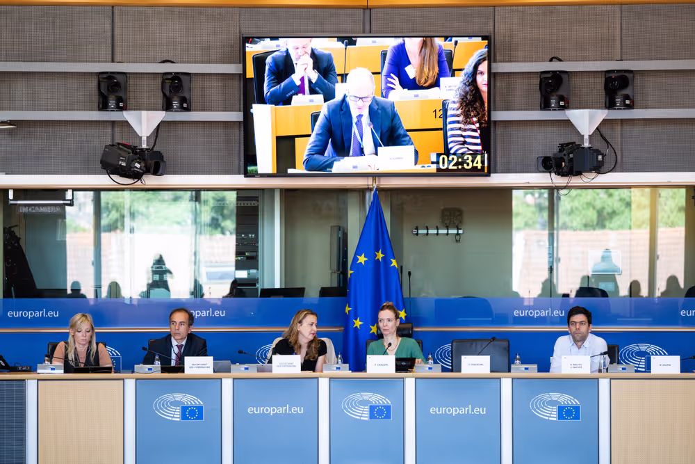 IMCO public hearing ' Single Market Strategy '