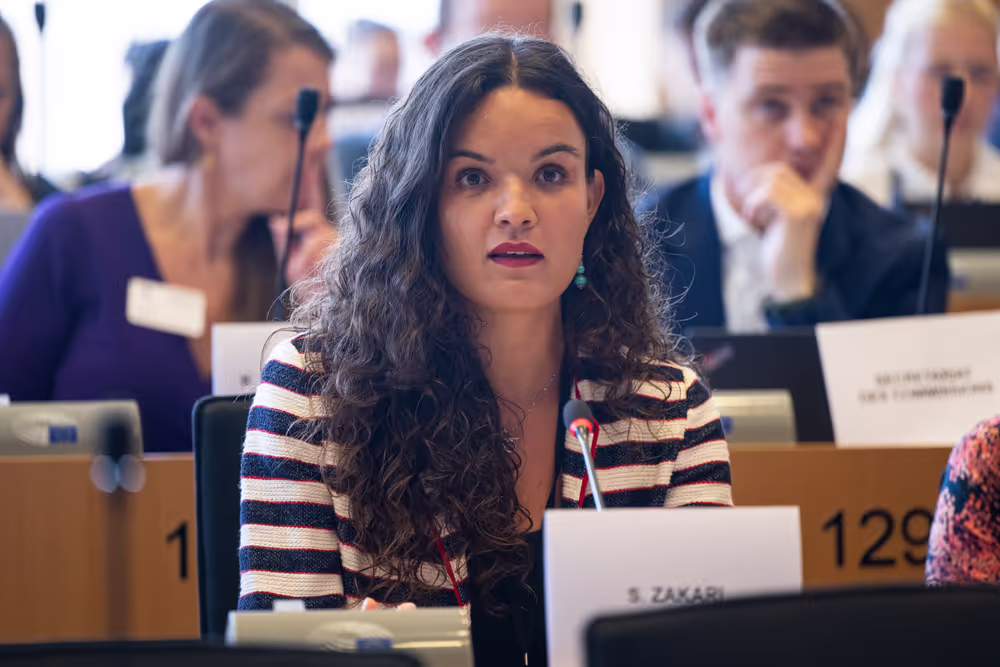 IMCO public hearing ' Single Market Strategy '