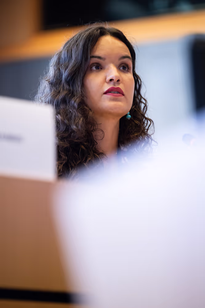 IMCO public hearing ' Single Market Strategy '
