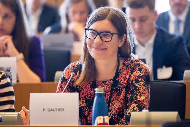 Nuotrauka 5: IMCO public hearing ' Single Market Strategy '