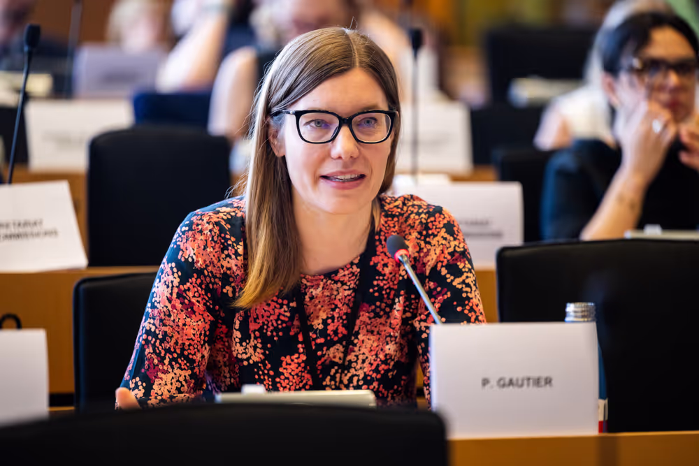 IMCO public hearing ' Single Market Strategy '