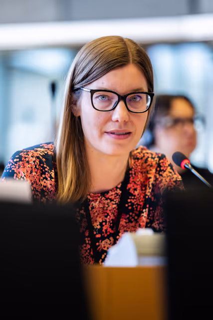 Nuotrauka 2: IMCO public hearing ' Single Market Strategy '