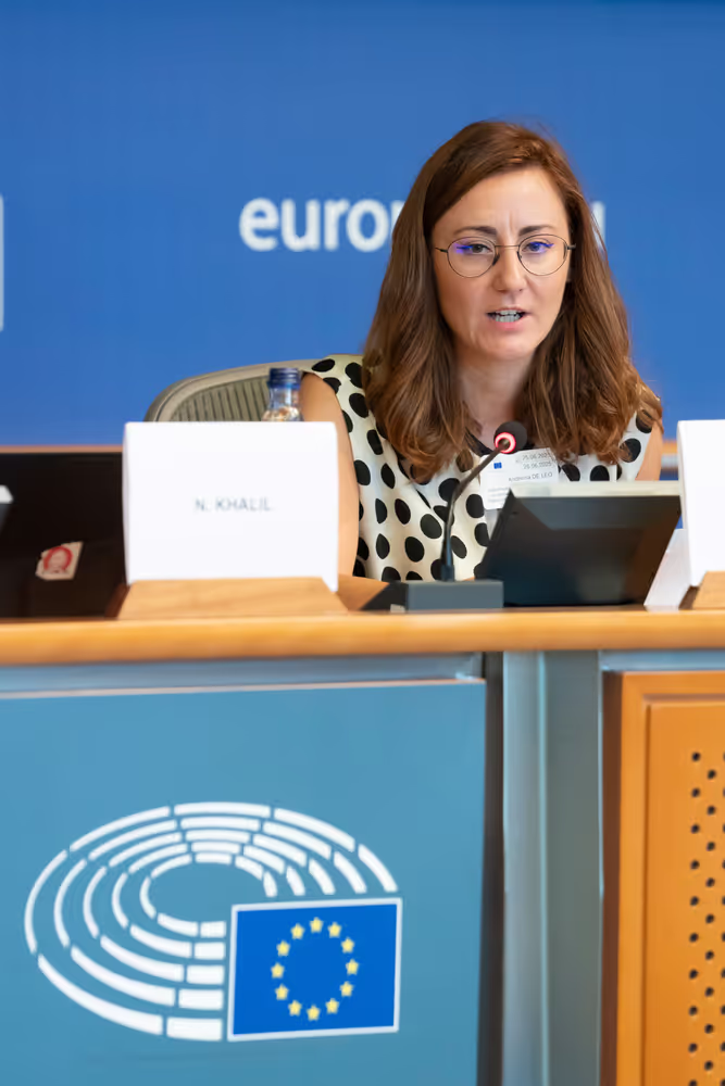 DROI - Public hearing on the human rights dimension of the EU Memoranda of Understanding in its South neighbourhood .