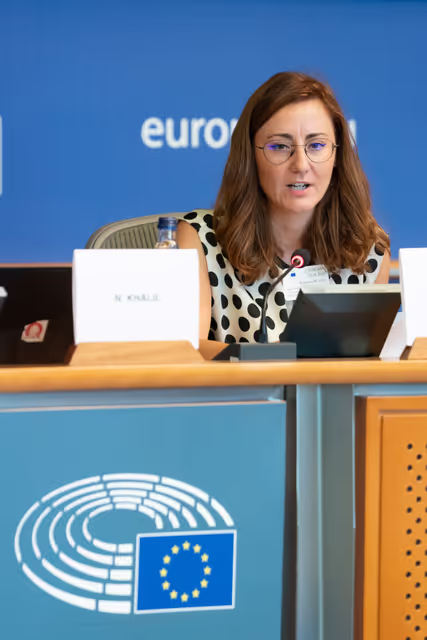 Fotografie 4: DROI - Public hearing on the human rights dimension of the EU Memoranda of Understanding in its South neighbourhood .