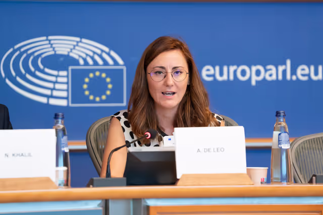 Fotografie 2: DROI - Public hearing on the human rights dimension of the EU Memoranda of Understanding in its South neighbourhood .