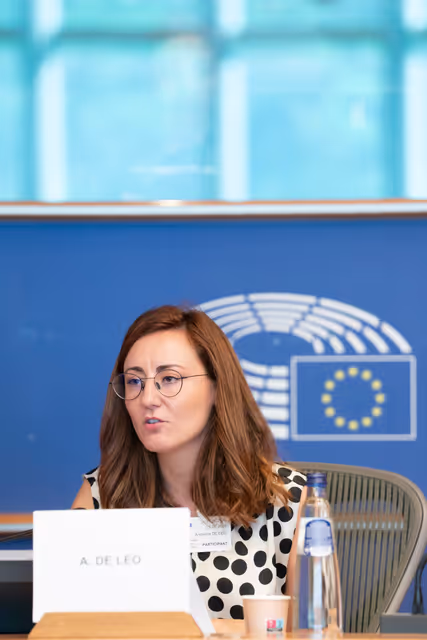 Fotografie 1: DROI - Public hearing on the human rights dimension of the EU Memoranda of Understanding in its South neighbourhood .