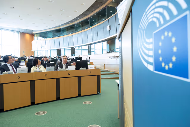 ITRE - Energy affordability, sovereignty, efficiency and transparency: way forward for the EU