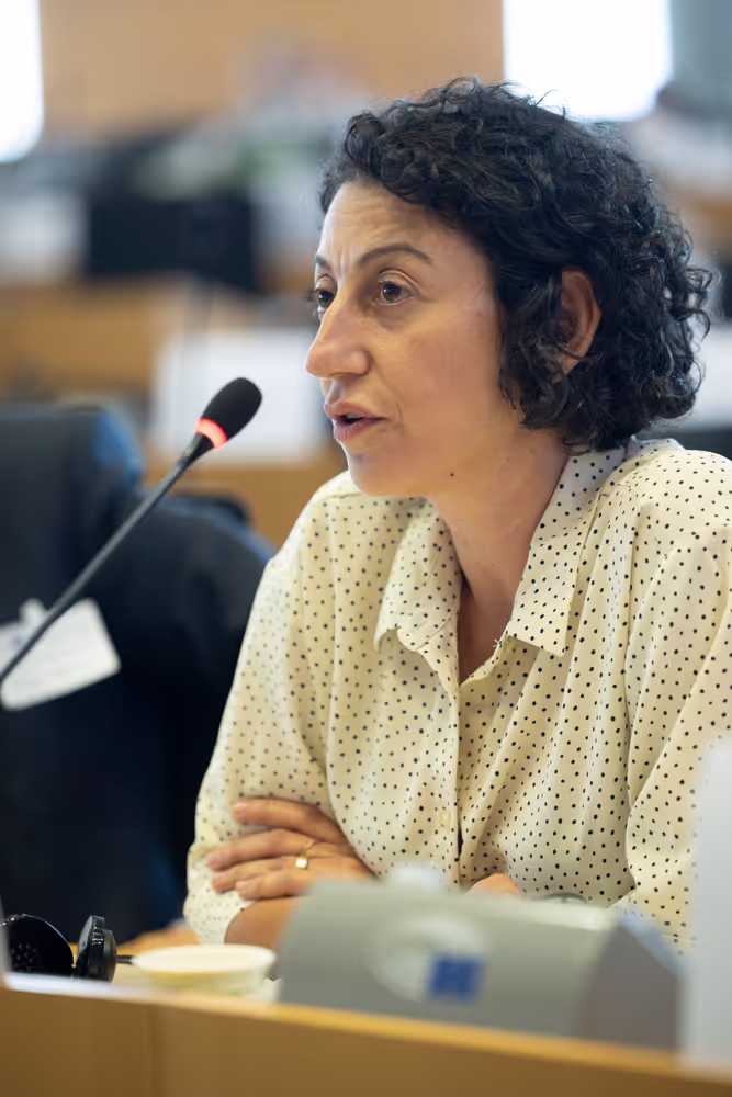 ITRE - Energy affordability, sovereignty, efficiency and transparency: way forward for the EU