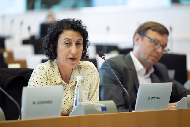 Fotagrafa 21: ITRE - Energy affordability, sovereignty, efficiency and transparency: way forward for the EU