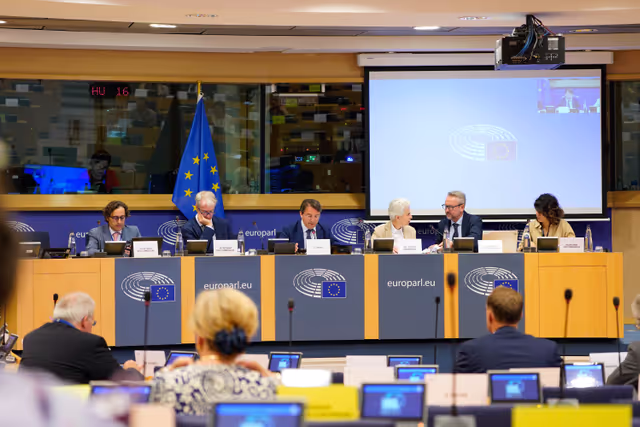 SEDE FISC - Public Hearing: The European Defence Union: tax matters