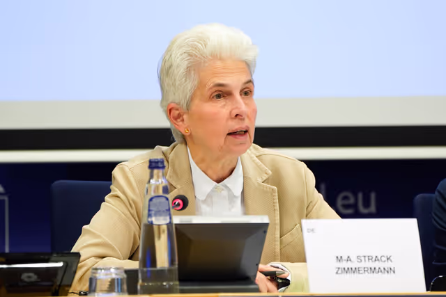 Valokuva 12: SEDE FISC - Public Hearing: The European Defence Union: tax matters