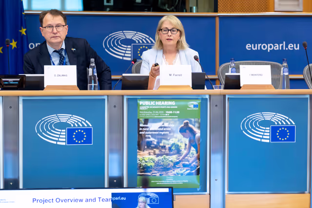 Снимка 14: FEMM - Hearing: Women’s entrepreneurship in rural and island areas and outermost regions