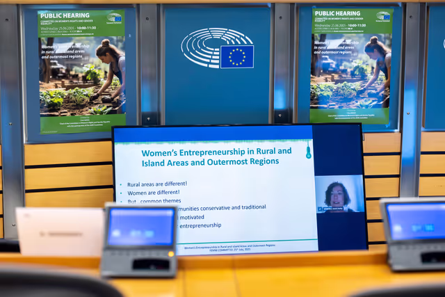 Снимка 6: FEMM - Hearing: Women’s entrepreneurship in rural and island areas and outermost regions