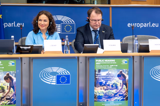 Снимка 20: FEMM - Hearing: Women’s entrepreneurship in rural and island areas and outermost regions