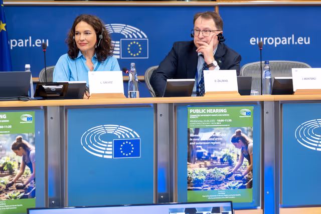 Снимка 21: FEMM - Hearing: Women’s entrepreneurship in rural and island areas and outermost regions