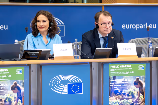 Снимка 17: FEMM - Hearing: Women’s entrepreneurship in rural and island areas and outermost regions