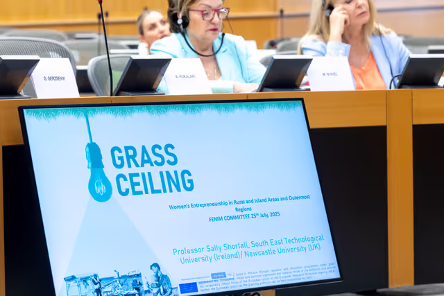 Снимка 8: FEMM - Hearing: Women’s entrepreneurship in rural and island areas and outermost regions