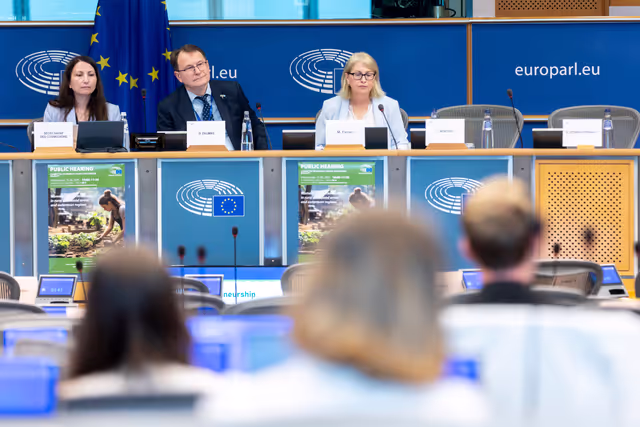 Снимка 5: FEMM - Hearing: Women’s entrepreneurship in rural and island areas and outermost regions