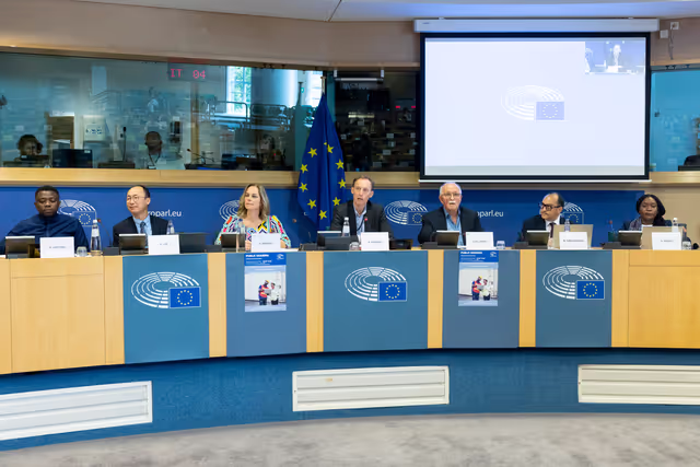 DEVE - Public Hearing on ' Decent and Sustainable Job Creation in Developing Countries:.Measuring the Impact of EU Projects '