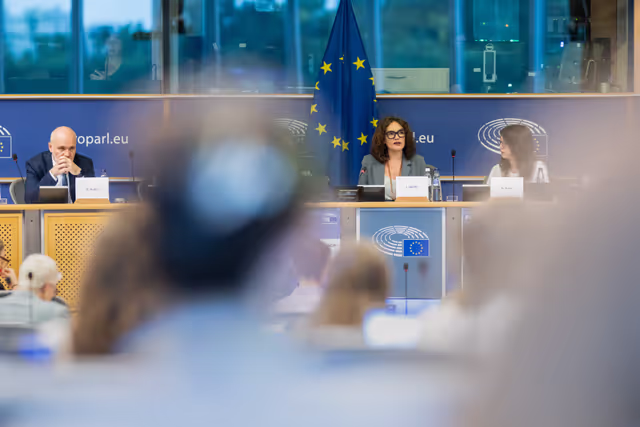 Φωτογραφία 15: FEMM - Hearing: Image based sexual violence in the context of AI and social media specifically exploring the role of undressing apps and the responsibilities of platforms