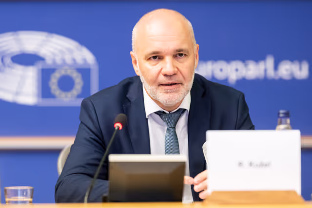 Φωτογραφία 13: FEMM - Hearing: Image based sexual violence in the context of AI and social media specifically exploring the role of undressing apps and the responsibilities of platforms