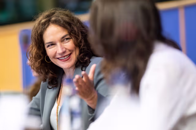 Φωτογραφία 8: FEMM - Hearing: Image based sexual violence in the context of AI and social media specifically exploring the role of undressing apps and the responsibilities of platforms