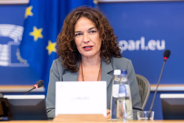 Φωτογραφία 2: FEMM - Hearing: Image based sexual violence in the context of AI and social media specifically exploring the role of undressing apps and the responsibilities of platforms