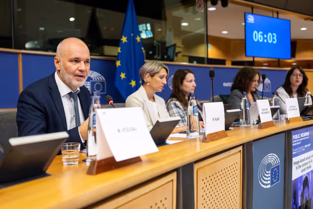 Φωτογραφία 9: FEMM - Hearing: Image based sexual violence in the context of AI and social media specifically exploring the role of undressing apps and the responsibilities of platforms