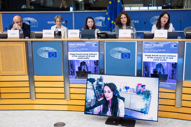 Φωτογραφία 4: FEMM - Hearing: Image based sexual violence in the context of AI and social media specifically exploring the role of undressing apps and the responsibilities of platforms