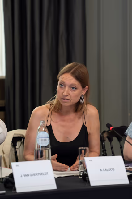 Billede 17: CCC Reflection Day