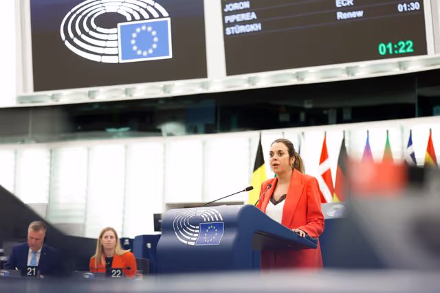 Foto 25: EP Plenary session - Product safety and regulatory compliance in e-commerce and non-EU imports