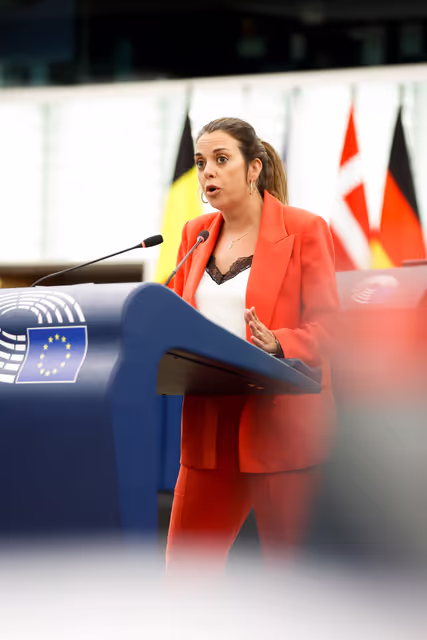 Foto 24: EP Plenary session - Product safety and regulatory compliance in e-commerce and non-EU imports