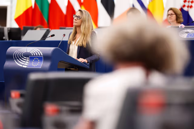 EP Plenary session - Product safety and regulatory compliance in e-commerce and non-EU imports