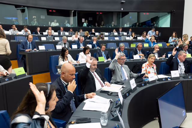 Fotografija 24: AGRI - The future of agriculture and the post-2027 common agricultural policy