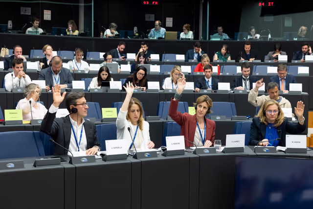 Fotografija 22: AGRI - The future of agriculture and the post-2027 common agricultural policy