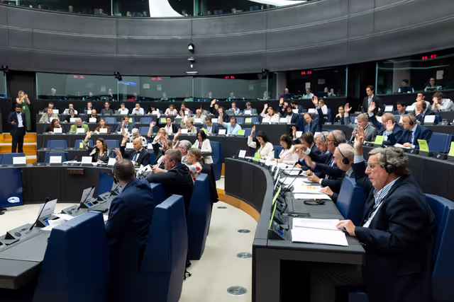 Fotografija 21: AGRI - The future of agriculture and the post-2027 common agricultural policy