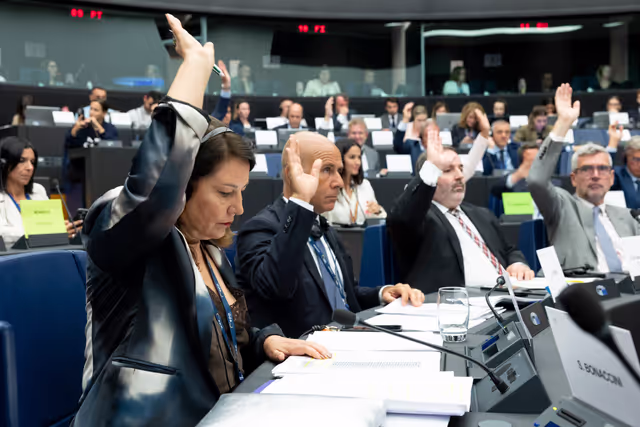 Fotografija 17: AGRI - The future of agriculture and the post-2027 common agricultural policy