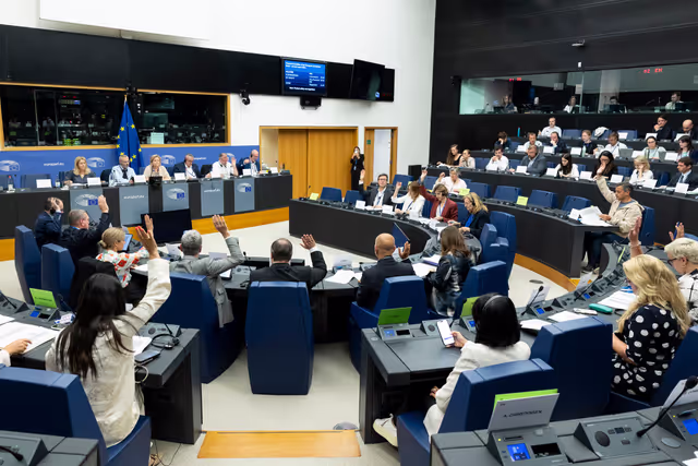 Fotografija 15: AGRI - The future of agriculture and the post-2027 common agricultural policy