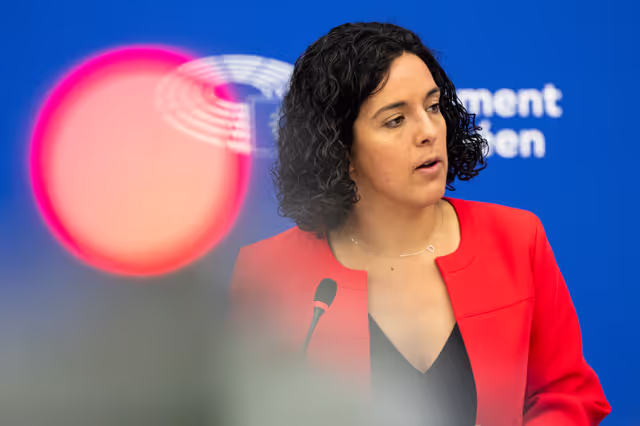 Press briefing The Left