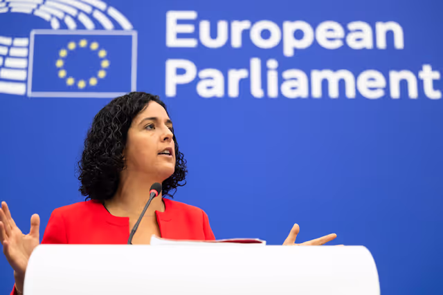 Press briefing The Left