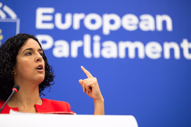 Press briefing The Left