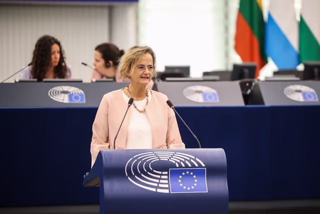 Fotografia 36: EP Plenary session - EU - China relations