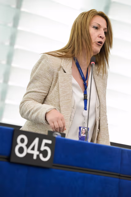 EP Plenary session - 2023 and 2024 reports on Albania