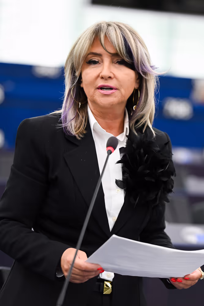 EP Plenary session - 2023 and 2024 reports on Bosnia and Herzegovina