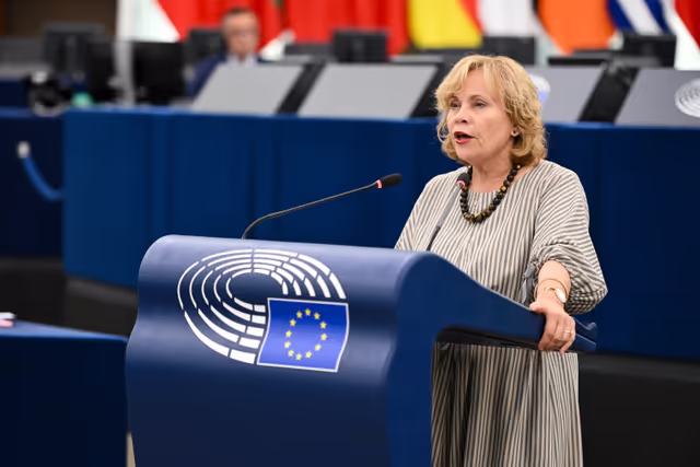 EP Plenary session - 2023 and 2024 reports on Georgia