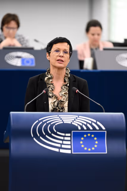 Fotografija 29: EP Plenary session - 2023 and 2024 reports on Georgia