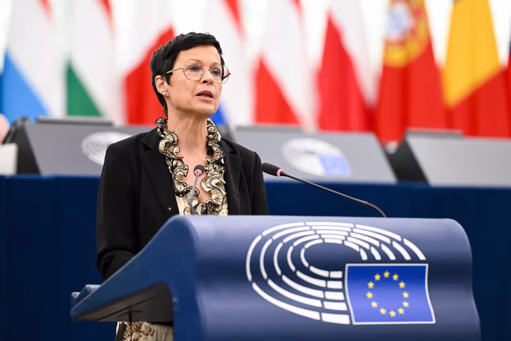 EP Plenary session - 2023 and 2024 reports on Georgia