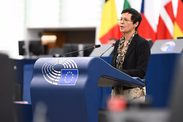 Fotografija 27: EP Plenary session - 2023 and 2024 reports on Georgia