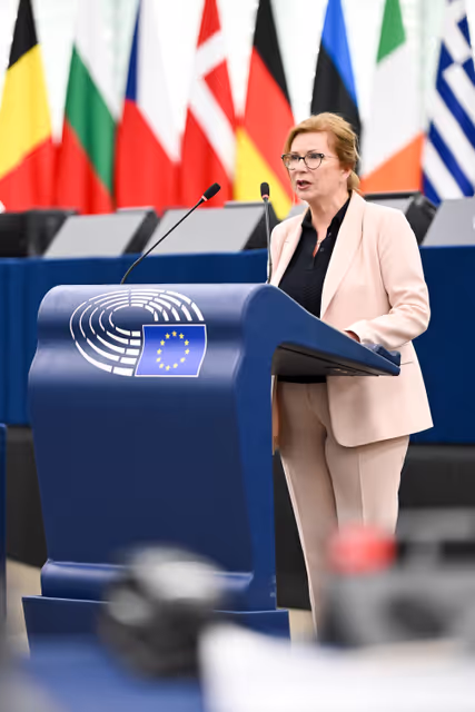 Fotografija 19: EP Plenary session - 2023 and 2024 reports on Georgia